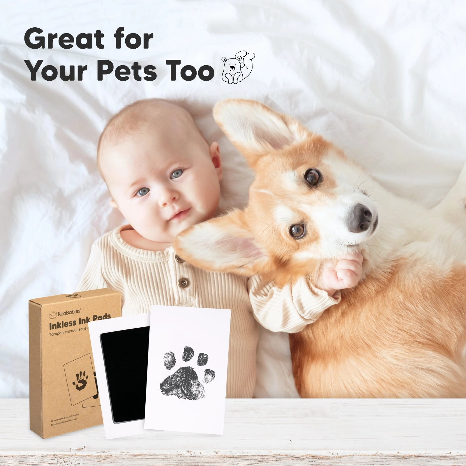 2-Pack Inkless Ink Pads