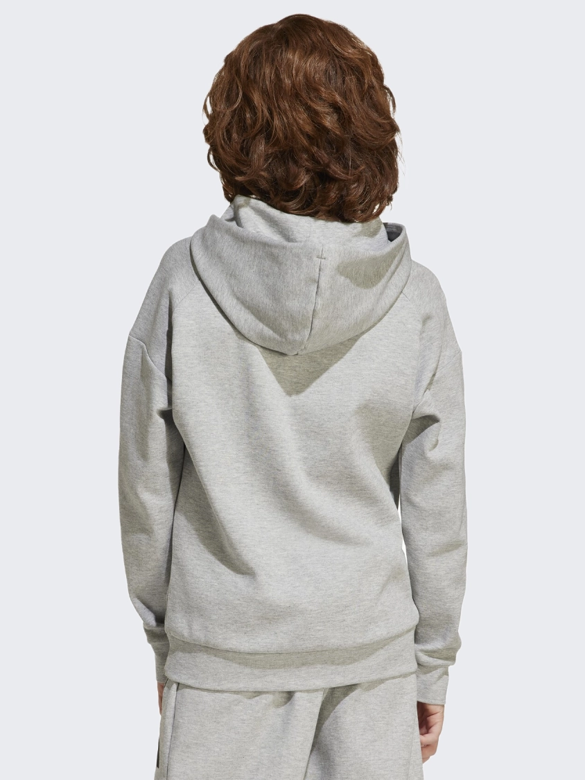 Adidas Future Icons Logo Hooded Kids-Boys Sportswear Hoody Grey/Black