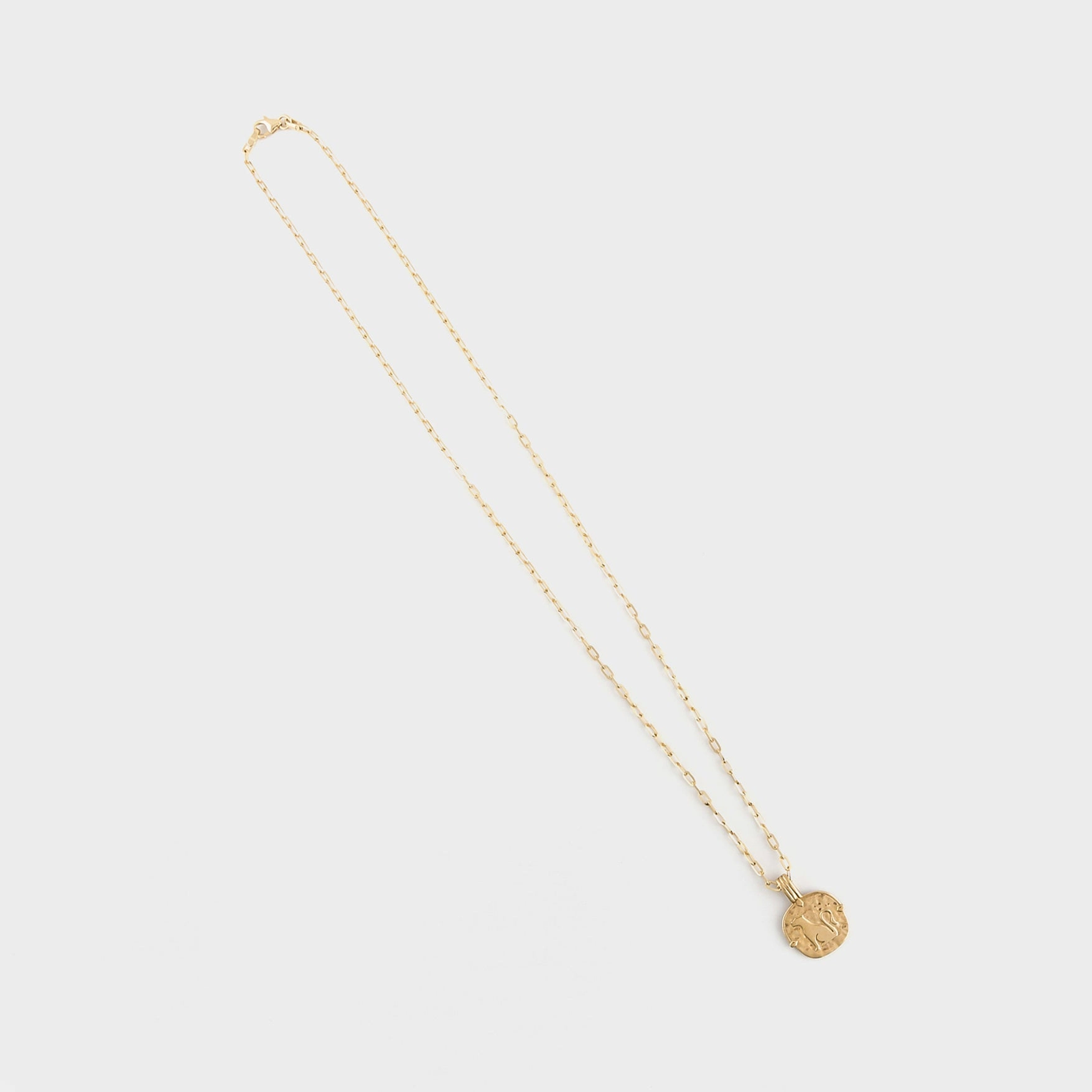Chunky Cléo Lioness Necklace for Her