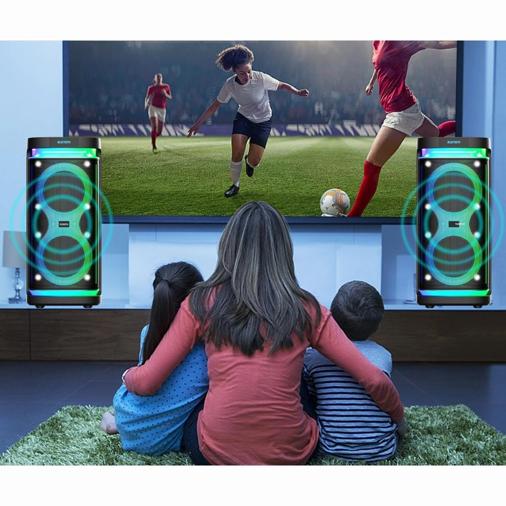 DFTRT SPEAKER-065 6.5'' Karaoke Machine for Adults with 2 Wireless Microphones