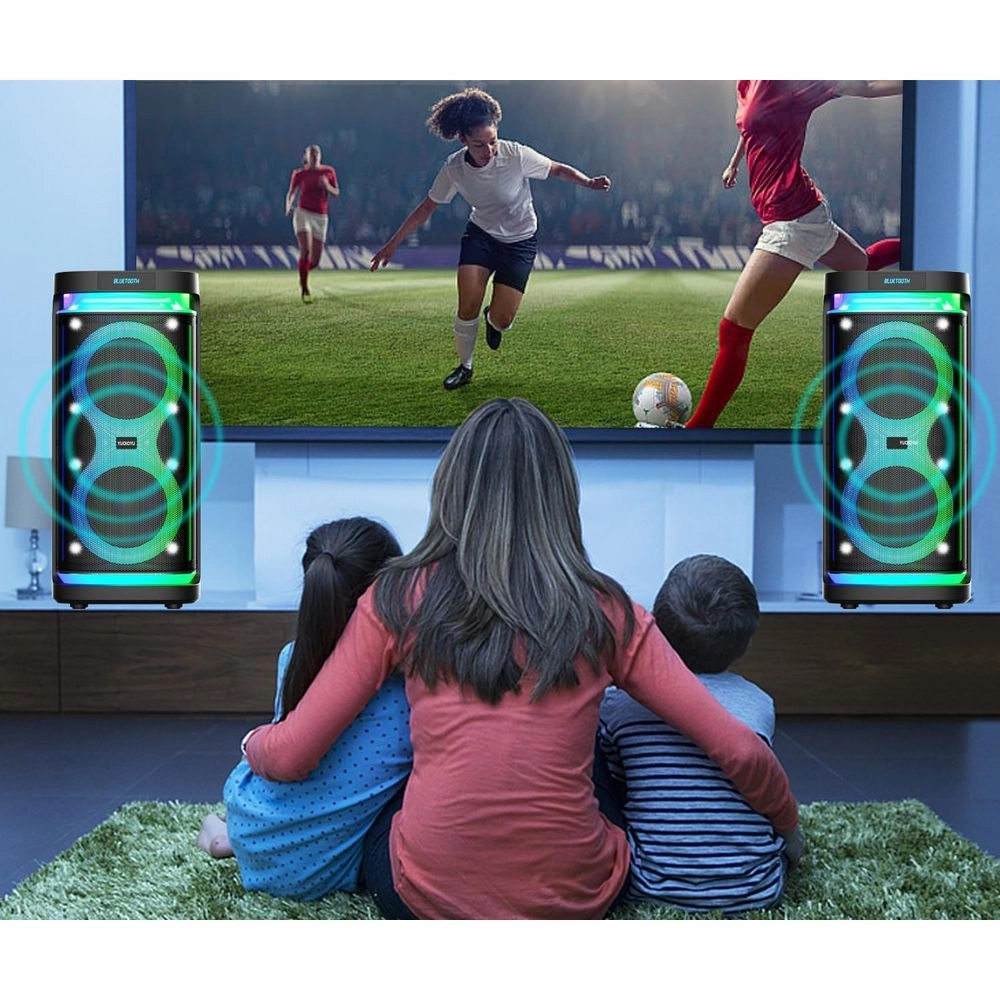 DFTRT SPEAKER-065 6.5'' Karaoke Machine for Adults with 2 Wireless Microphones