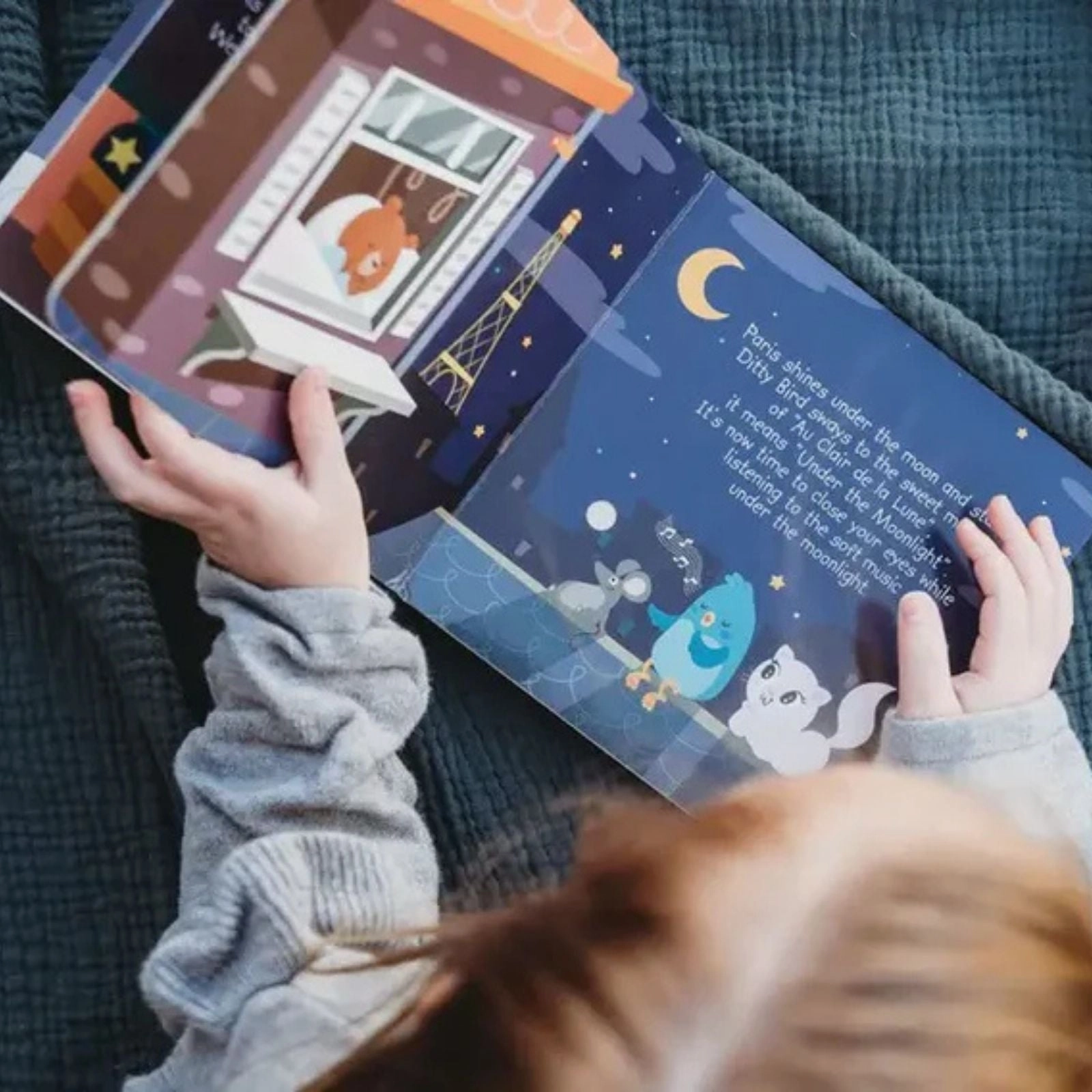 Ditty Bird Bedtime Songs Book