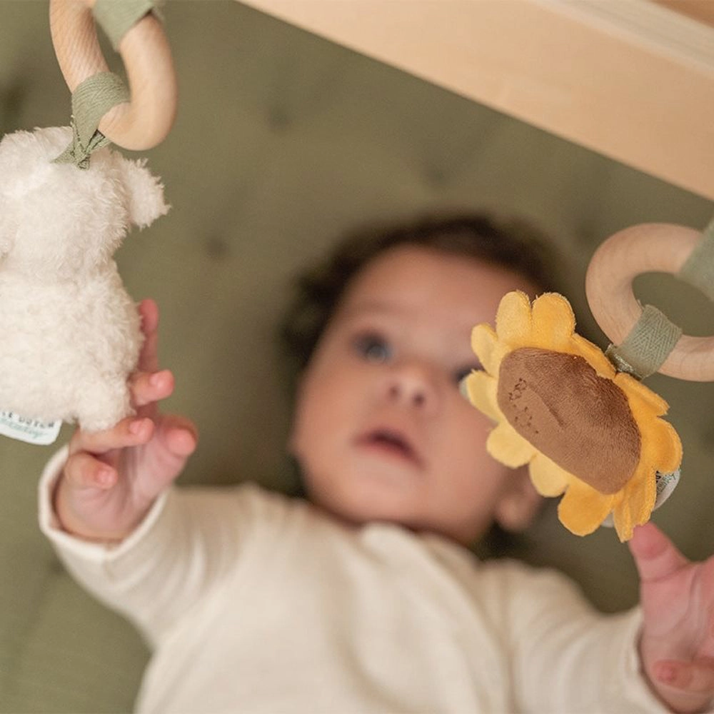 Little Dutch Little Farm Babygym