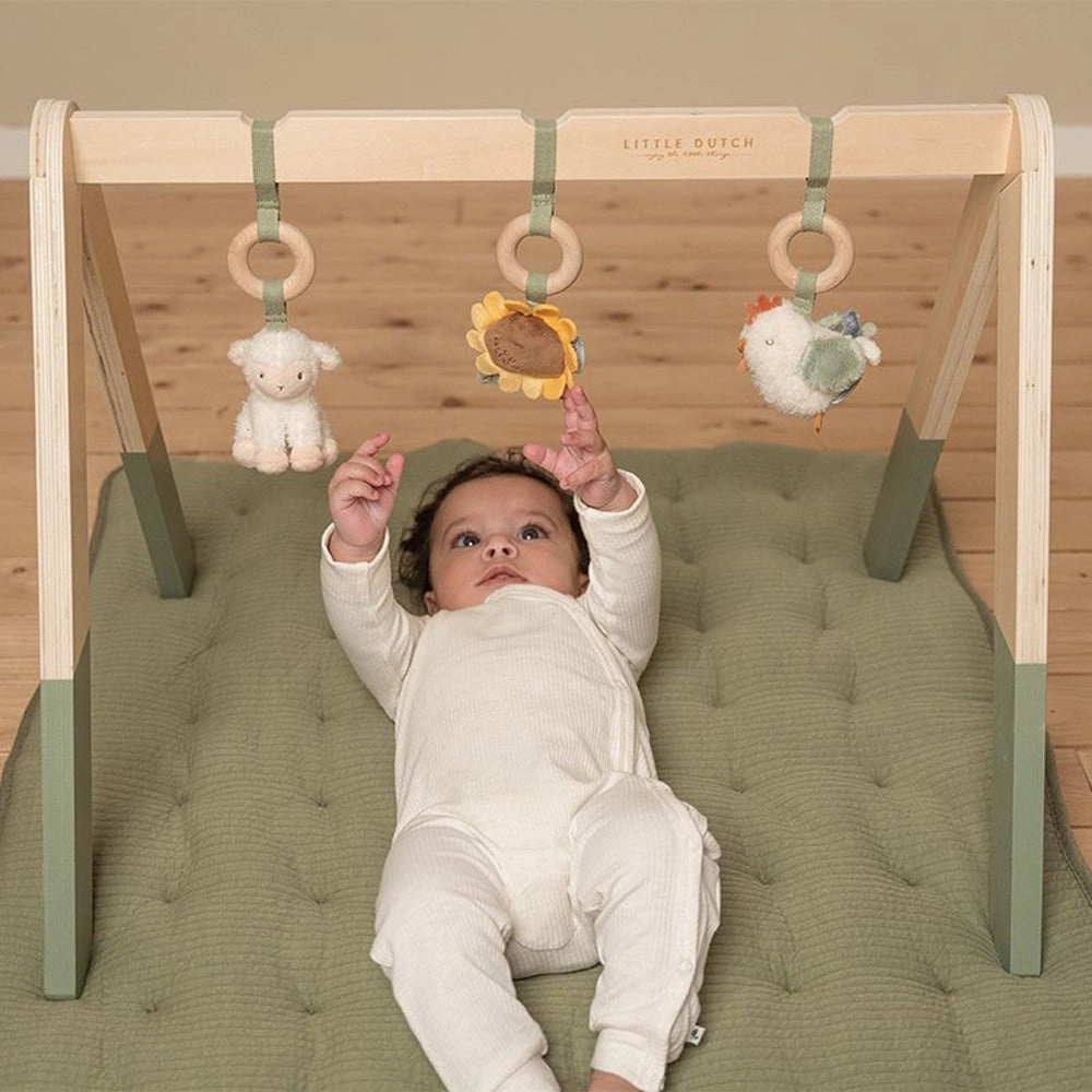Little Dutch Little Farm Babygym
