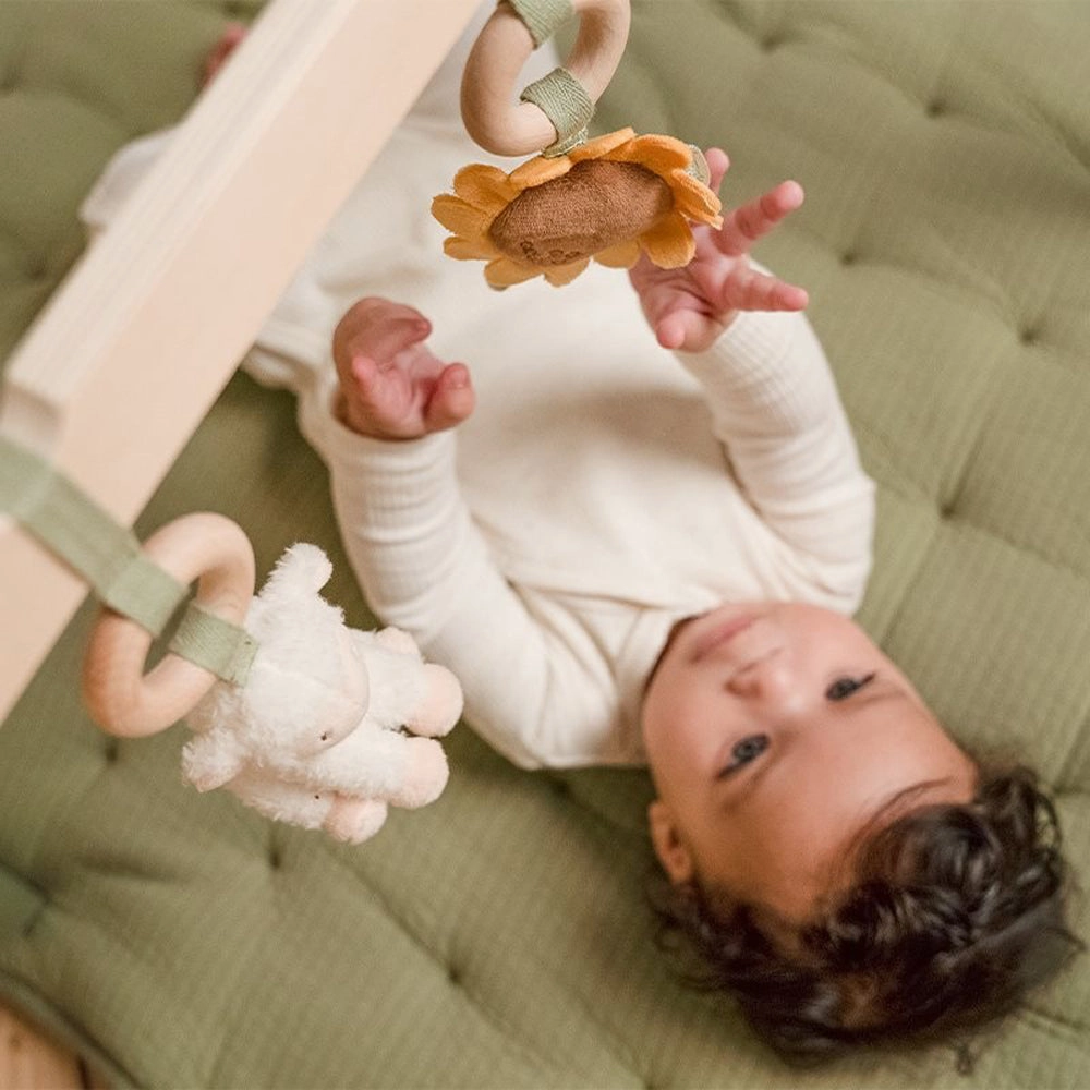 Little Dutch Little Farm Babygym