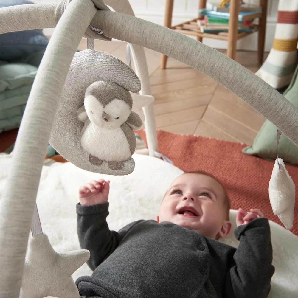 Mamas & Papas Wish Upon A Cloud Playmat & Gym