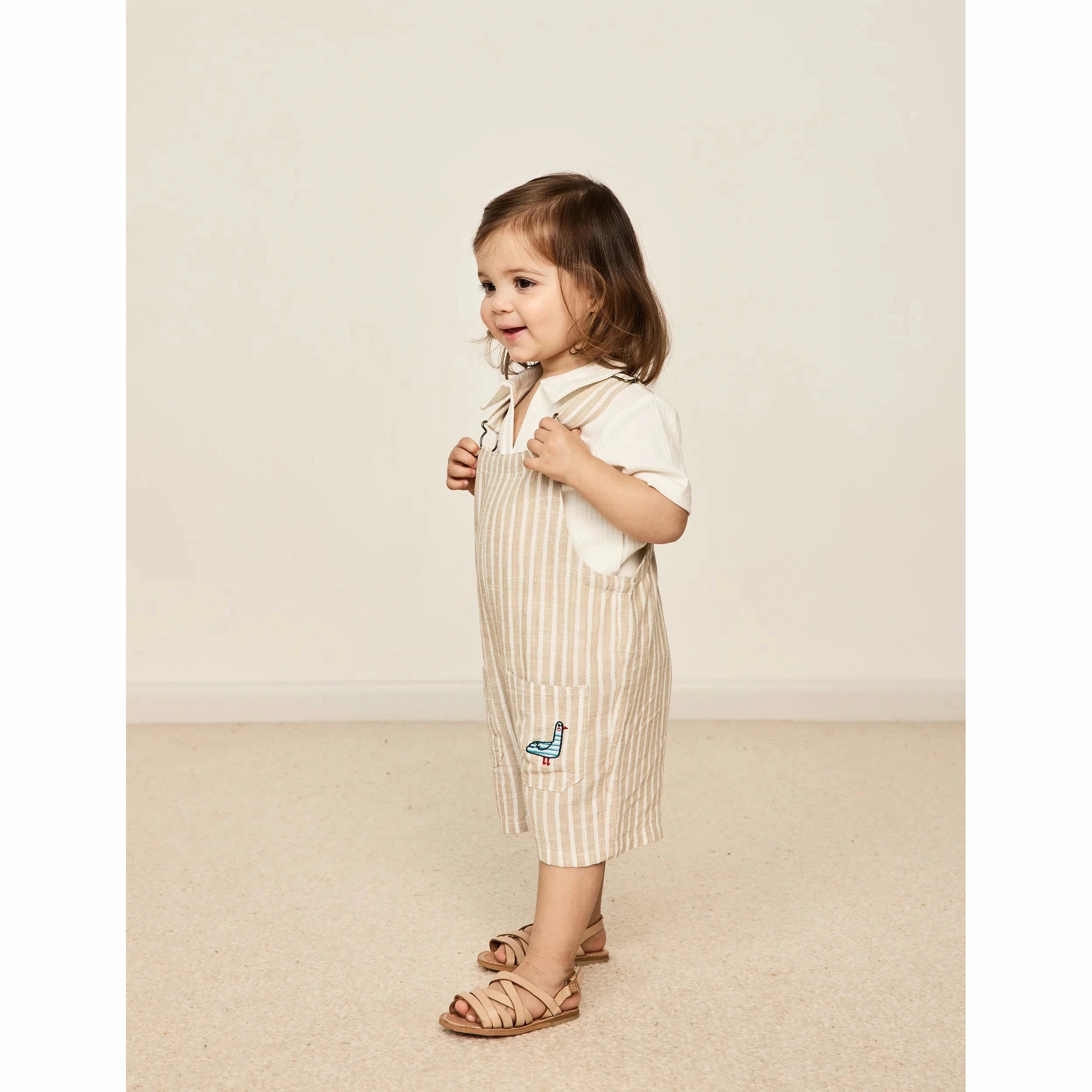 Taylor Overalls Beige Stripe