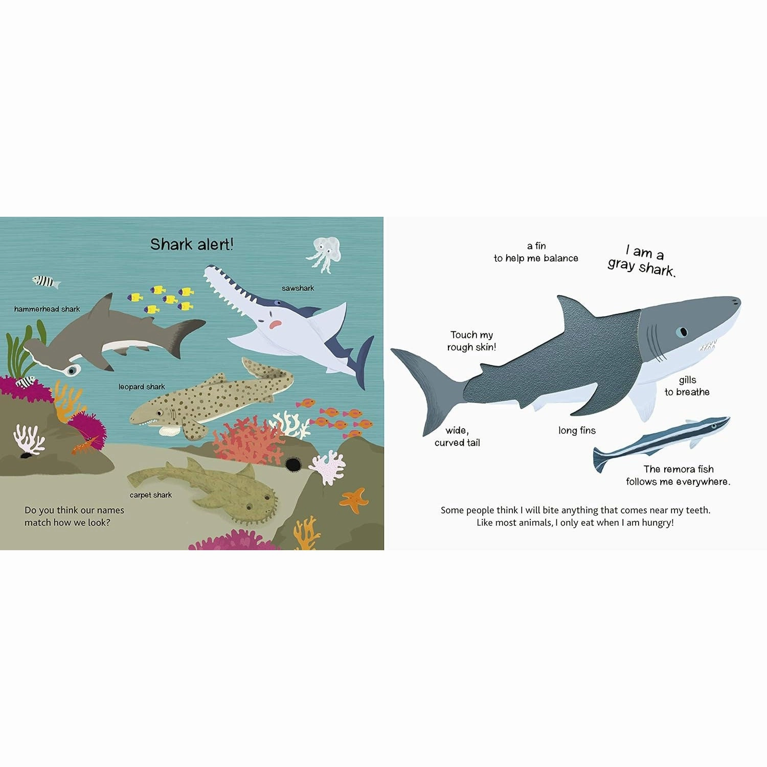 Touch and Explore Book - The Ocean
