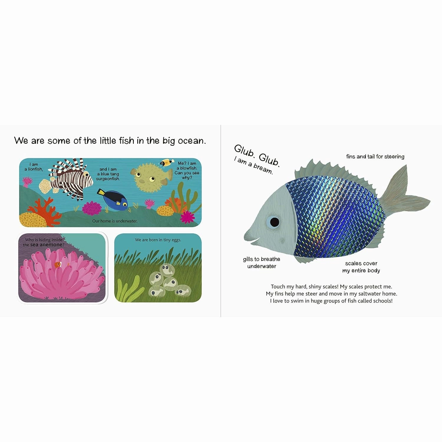 Touch and Explore Book - The Ocean